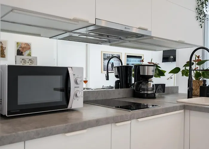 Modern 2br - Dorobanti View Бухарест